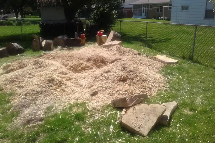 Professional Tree Company in Little Chute, WI Professional Tree Company in Little Chute, WI