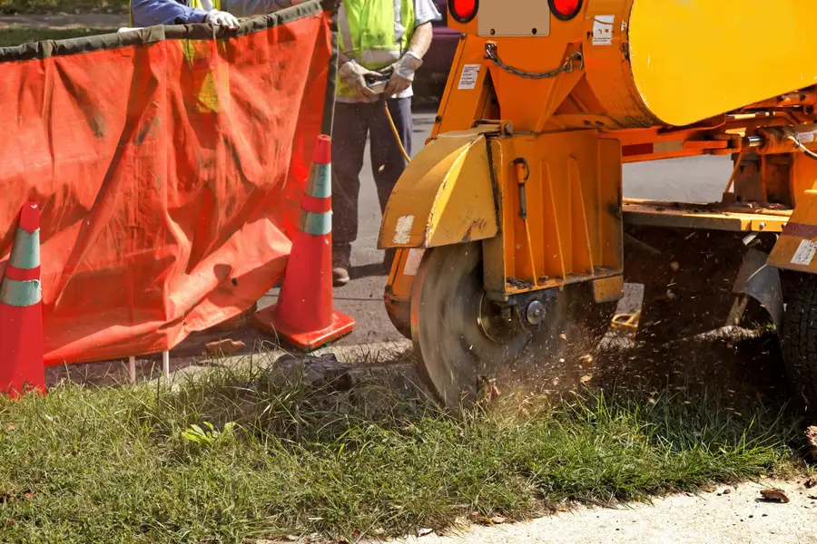 Affordable Stump Grinding Little Chute, WI Affordable Stump Grinding Little Chute, WI