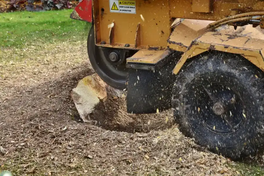 Excellent Stump Grinding Little Chute, WI Excellent Stump Grinding Little Chute, WI
