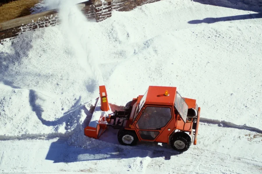 When To Schedule Tree Trimming Before Snowfall in Little Chute, WI When To Schedule Tree Trimming Before Snowfall in Little Chute, WI