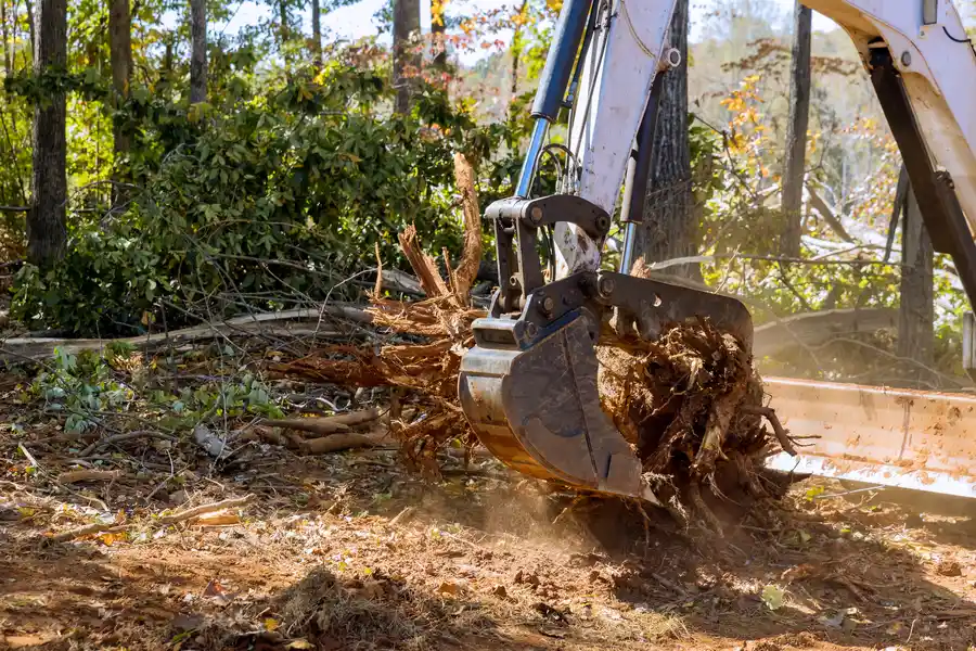 Why Stump Removal Is Essential After Tree Removal in Little Chute, WI Why Stump Removal Is Essential After Tree Removal in Little Chute, WI